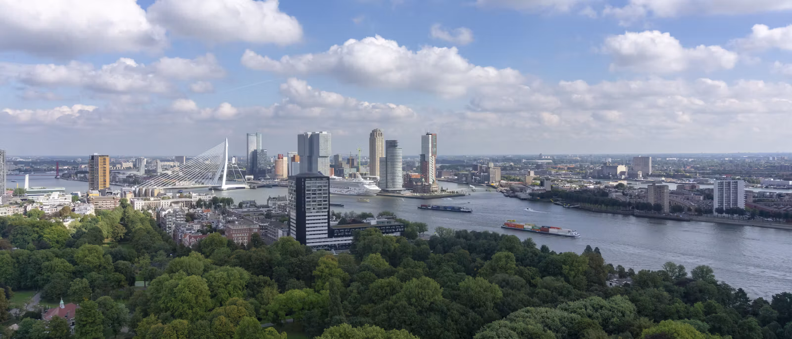 从 Het Park 公园上空俯瞰鹿特丹：前景是一大片树冠，远处是马斯河上的货船和一艘邮轮，更远处是小小的天际线和伊拉斯谟桥白色的竖琴形桥塔，天上是夏天的云