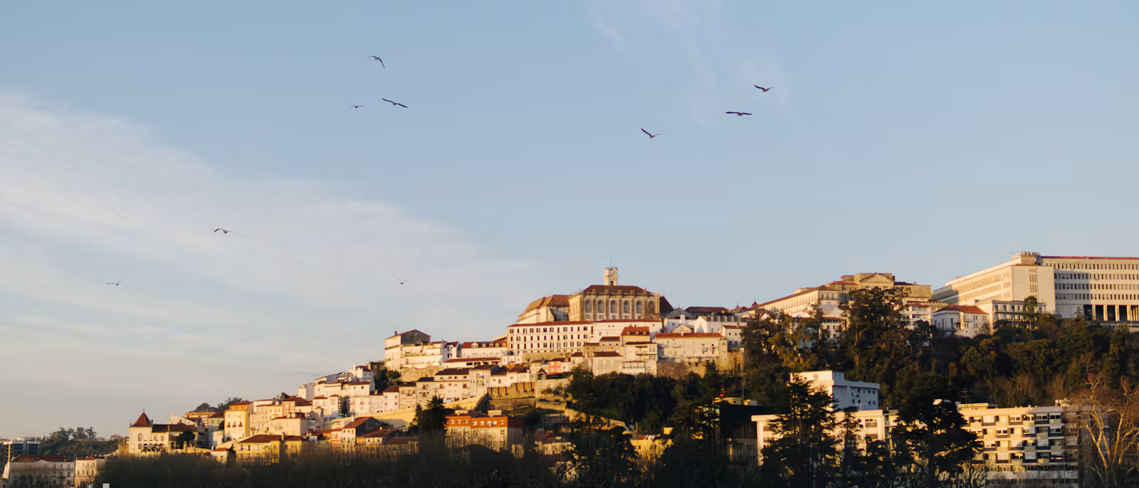 Coimbra's old town on its hill in late-afternoon sun, with the university tower at the top
