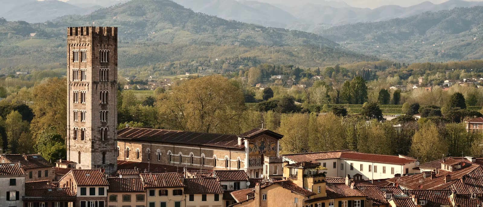 Lucca's rooftops and a medieval tower with the Apuan hills behind